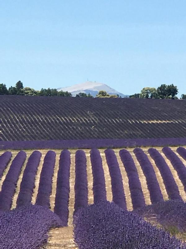 Villa Au Pied Du Ventoux Mormoiron المظهر الخارجي الصورة